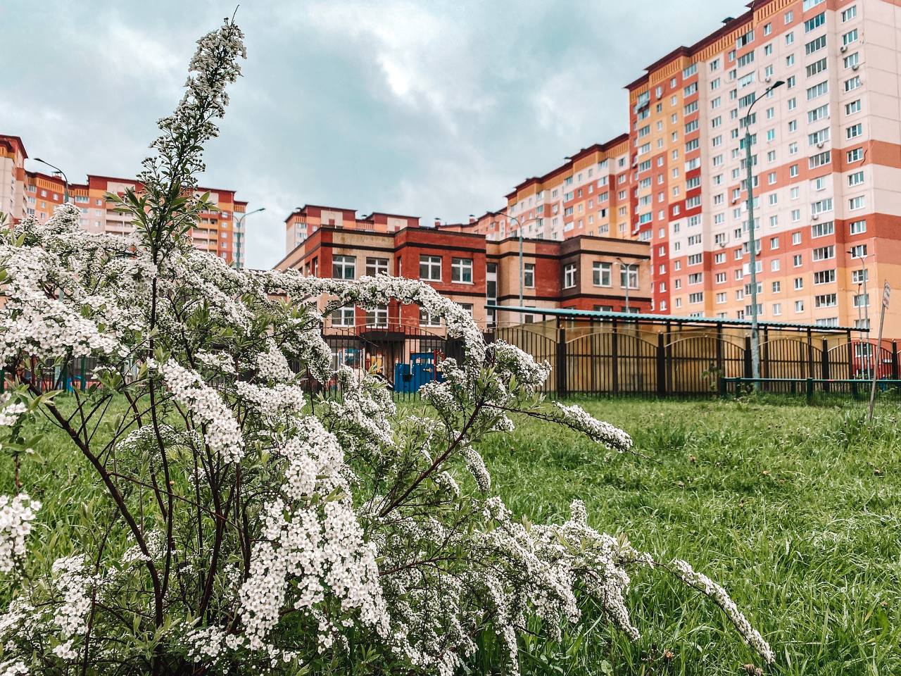 Островцы Московская Область Фото