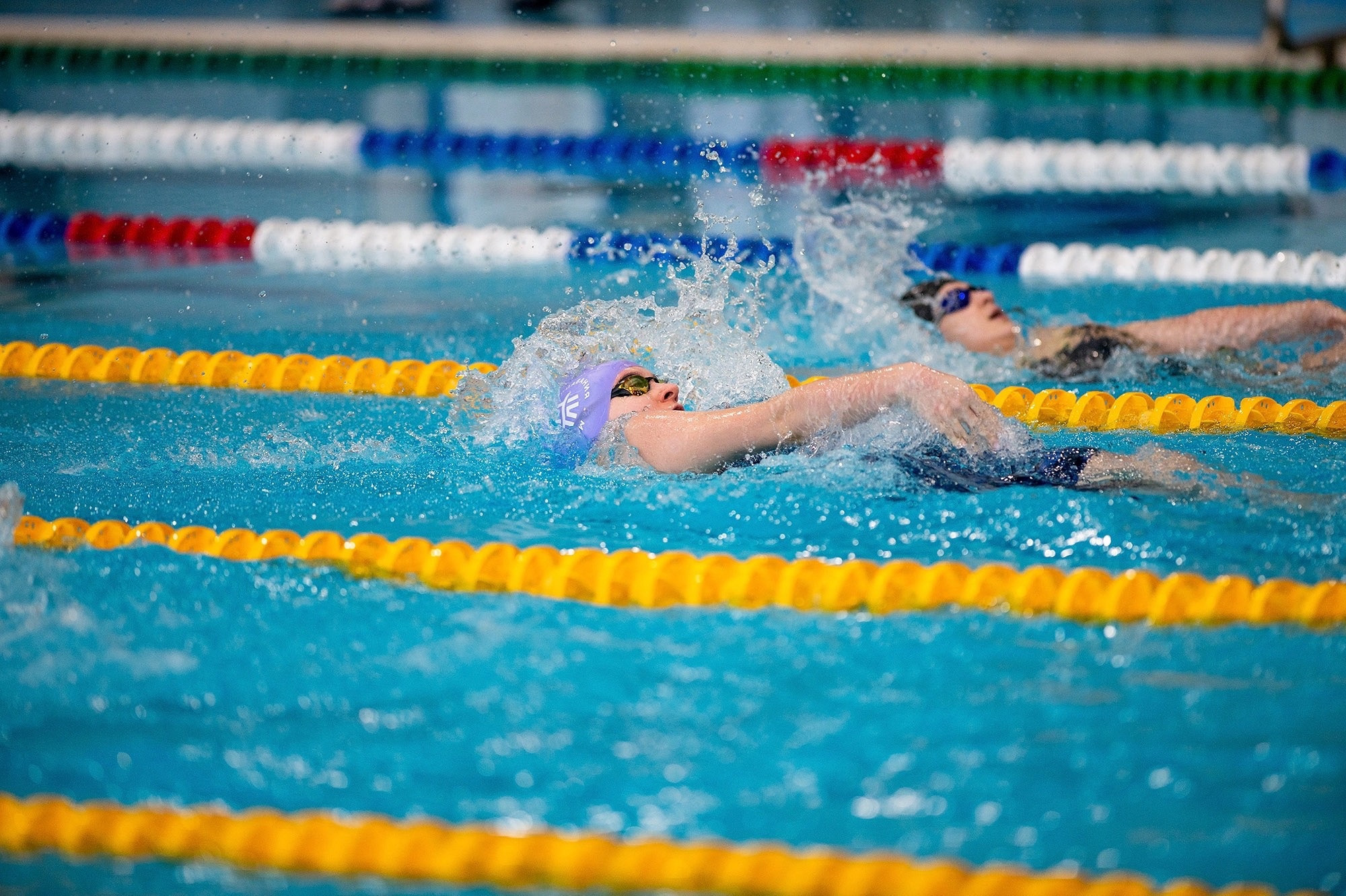 Четыре заплыва первой в России международной серии Swimcup по плаванию  пройдут в Раменском г.о. - РамРадио