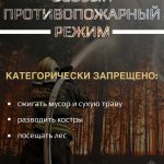 С  17 апреля на территории Московской области введен особый противопожарный режим 